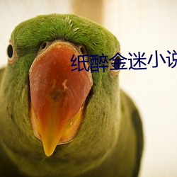 纸醉(zuì)金迷小说