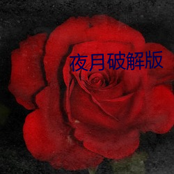 夜(yè)月破解(jiě)版