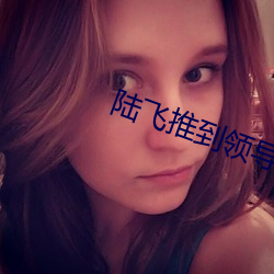 陆飞推到领导夫人第31章