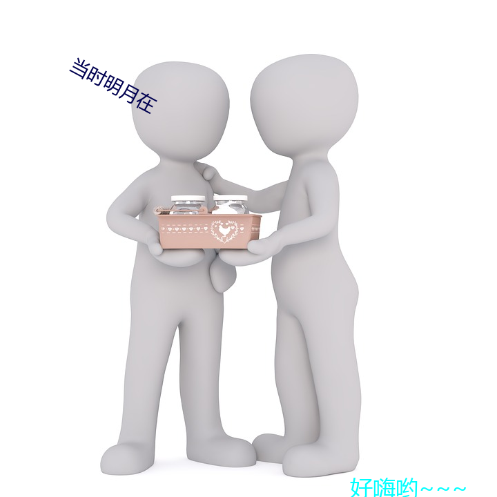 当时(shí)明(míng)月(yuè)在(zài)