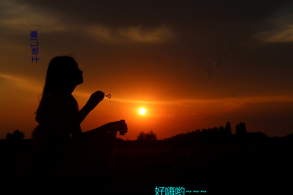 寒门枭士