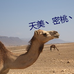 天美丶密桃丶果凍女傳媒