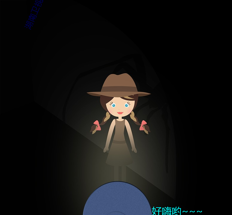 湖南卫视女主播