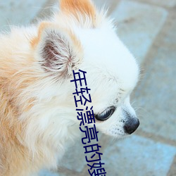 年(年)轻漂亮的嫂子