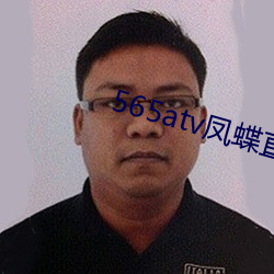 565atv凤蝶直(直)播app