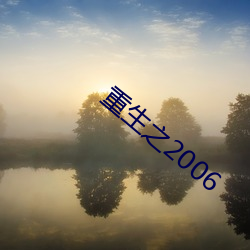 重生之2006