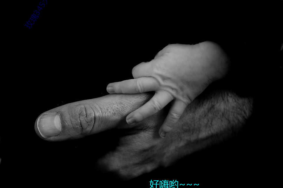 玫瑰(guī)345大秀