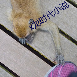 x龙时代小说(shuō)