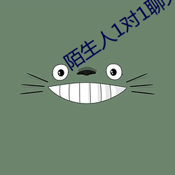 陌生人1对1聊天室