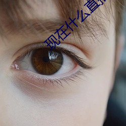 现在什么直播最(zuì)开放