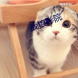 战狼影院