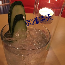 武道凌天