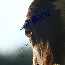 水晶岩城