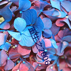 重生之2006