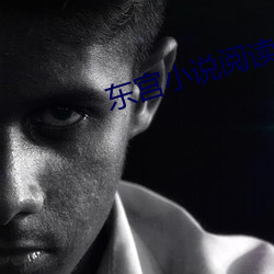 东宫小说阅读免费