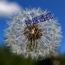 神(shén)医透视