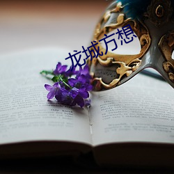 龙城方想