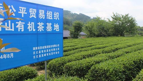 诚邀新零售品牌策划w66国际的合作伙伴的公告
